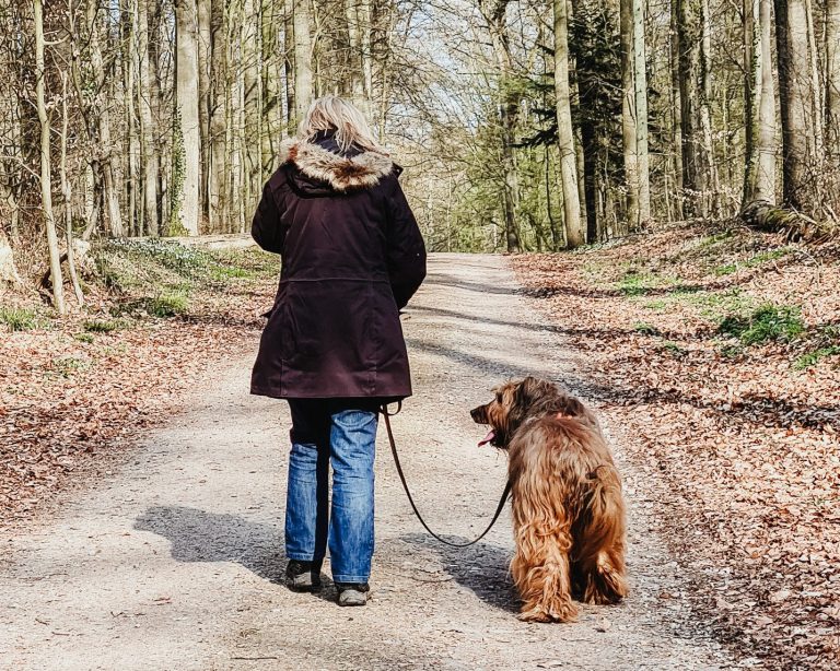 2 Freunde Hundeschule für Geesthacht