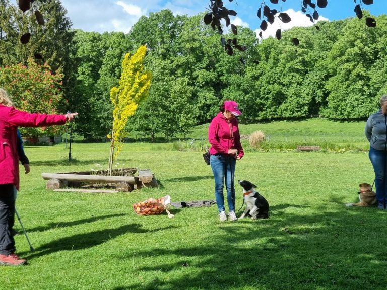 Hundetraining Geesthacht Alltagsfit 